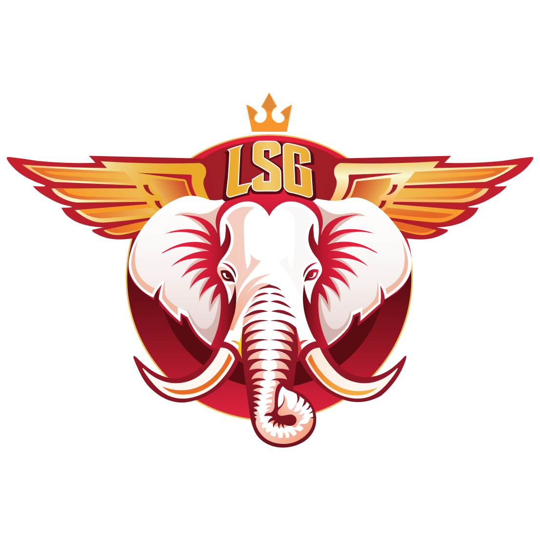 LSG